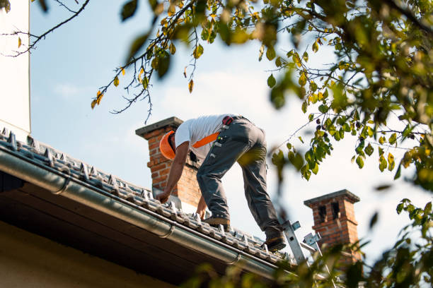 Professional Roofing Contractor in Harlan, IN