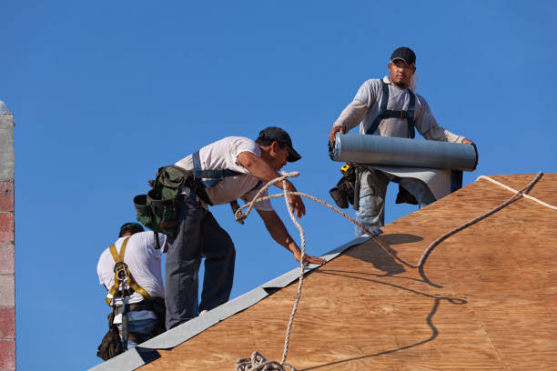 Best Local Roofing Companies  in Harlan, IN