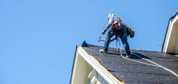 Best New Roof Installation  in Harlan, IN